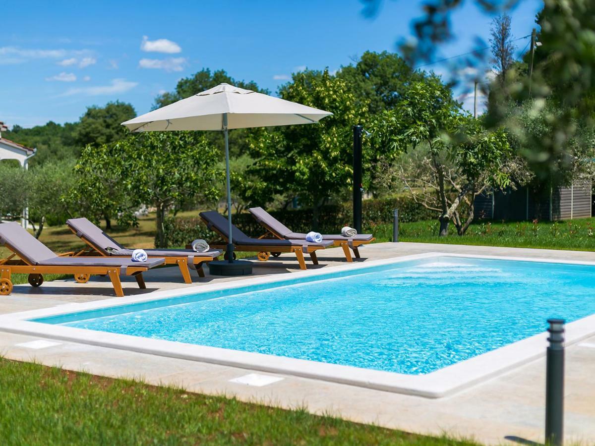 Pool Premium Apartment 브르사르 외부 사진